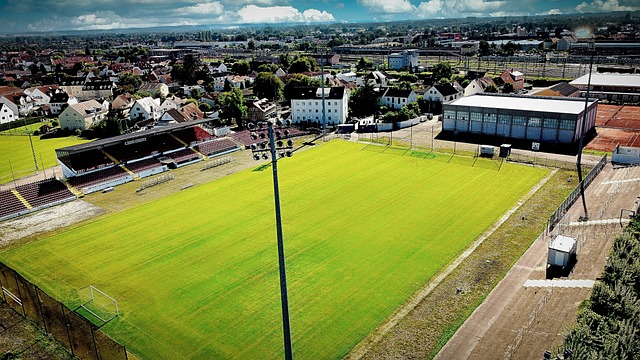 竞购的对象 竞购的对象