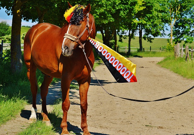 吸引挑战者 吸引挑战者