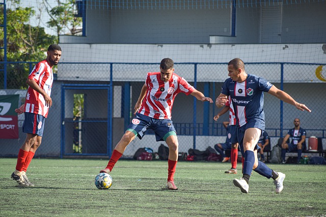 使其成为全 使其成为全