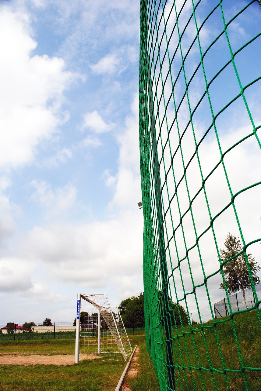 举办大型国 举办大型国