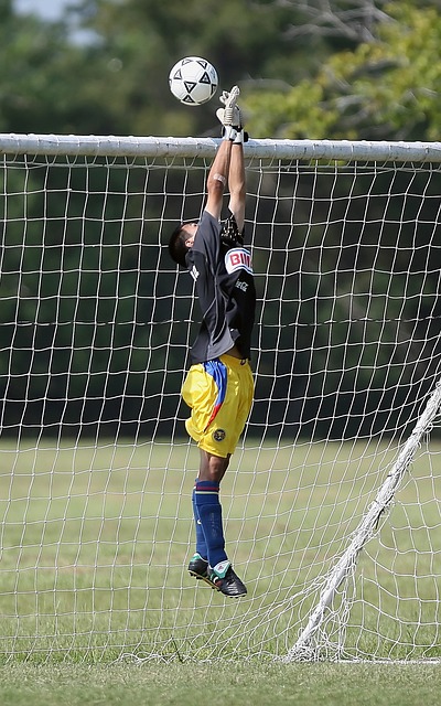 的角色球员 的角色球员